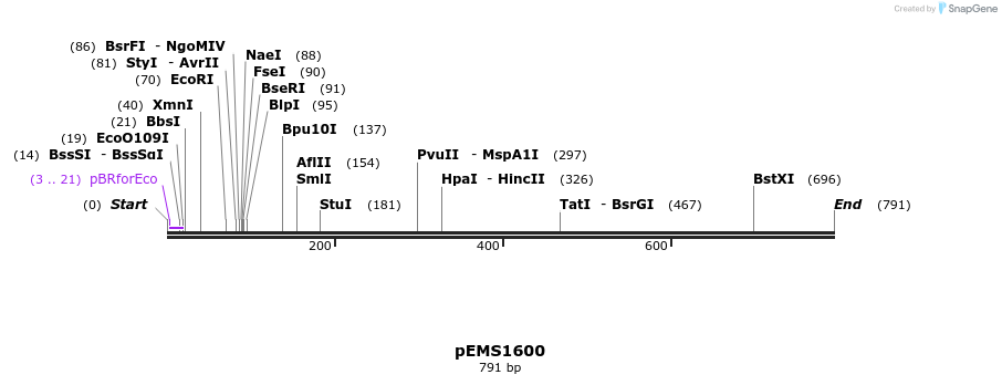 39243_map