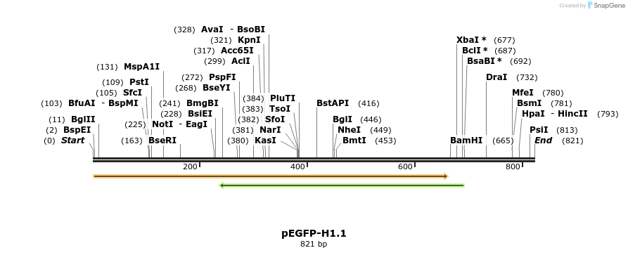 39245_map