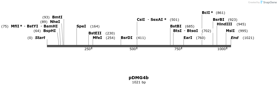 39251_map
