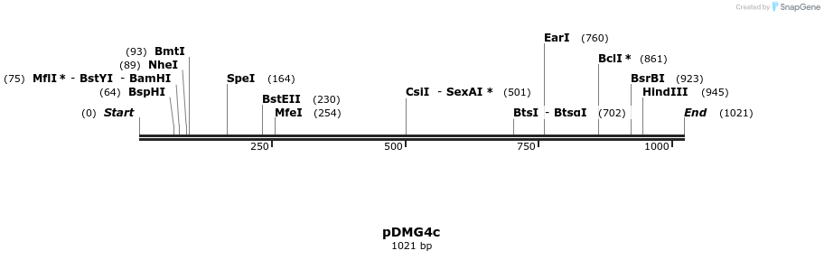 39253_map