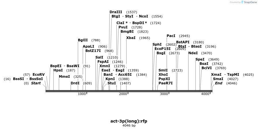 392536_map