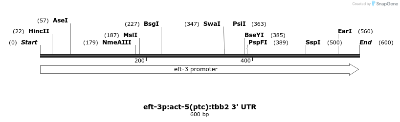392538_map