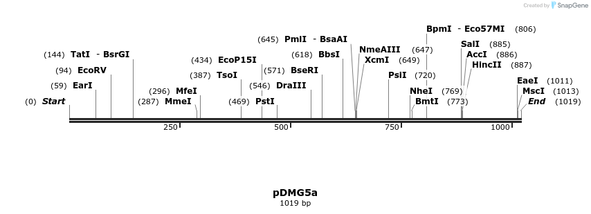 39254_map