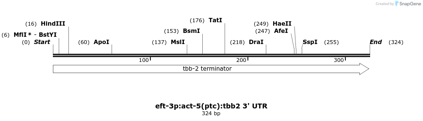 392540_map