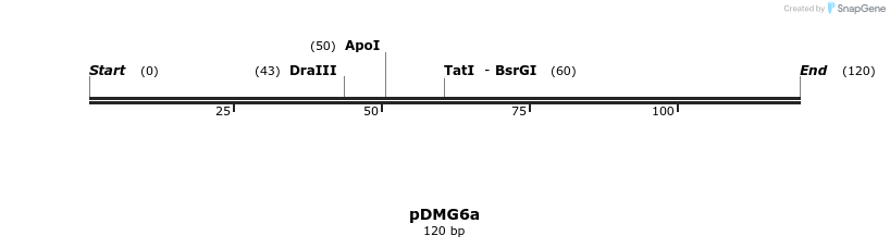 39259_map