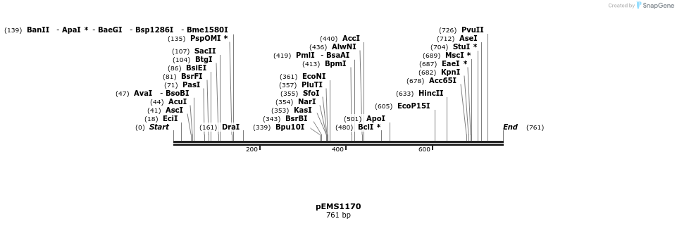 39261_map