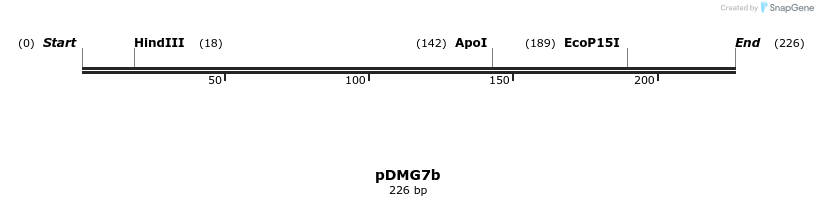 39264_map