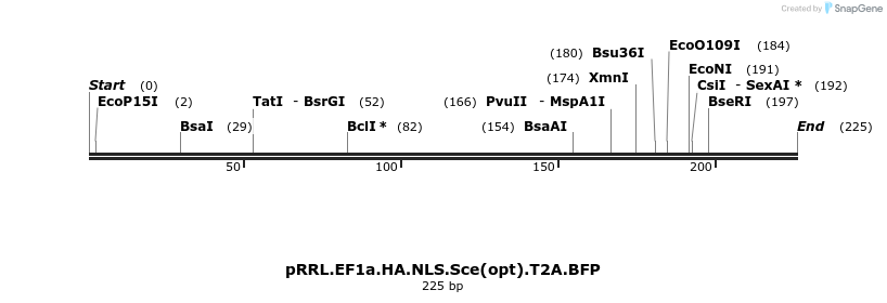 39265_map