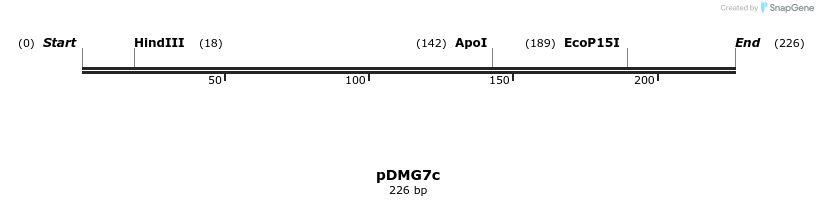 39266_map