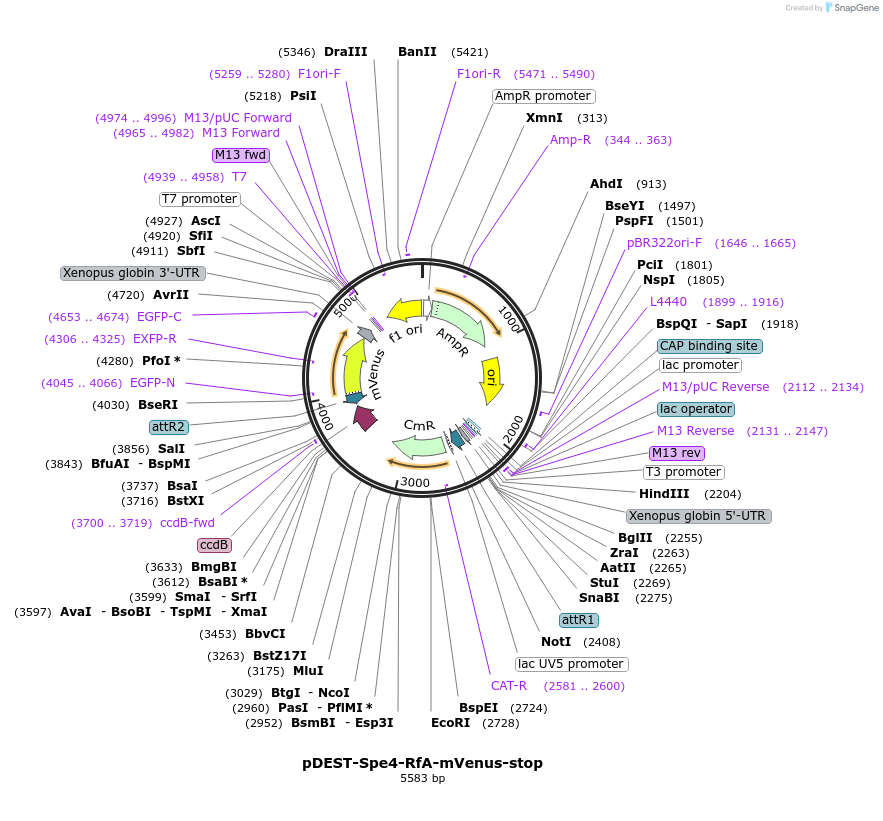 392701_map