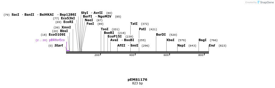 39271_map