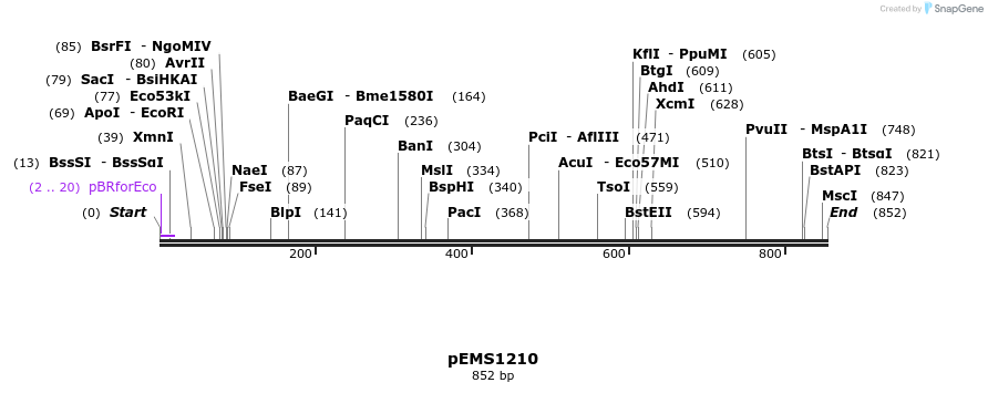 39276_map