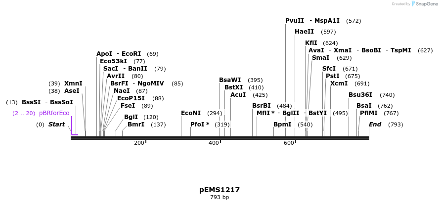 39278_map