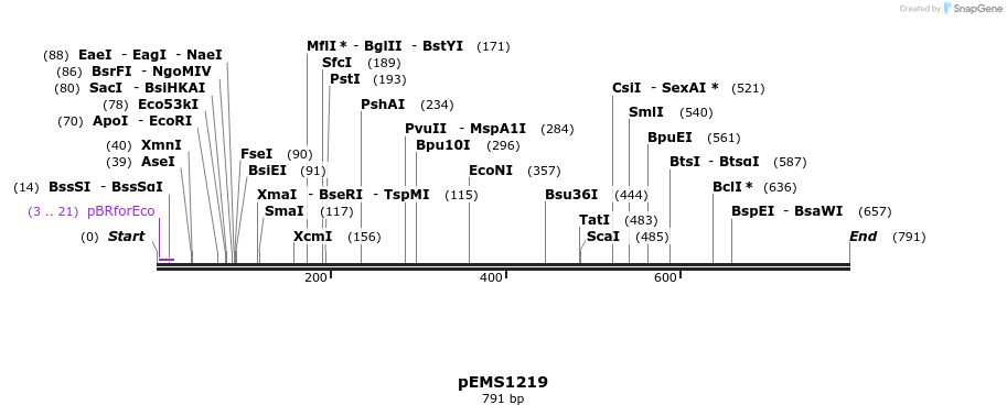 39279_map
