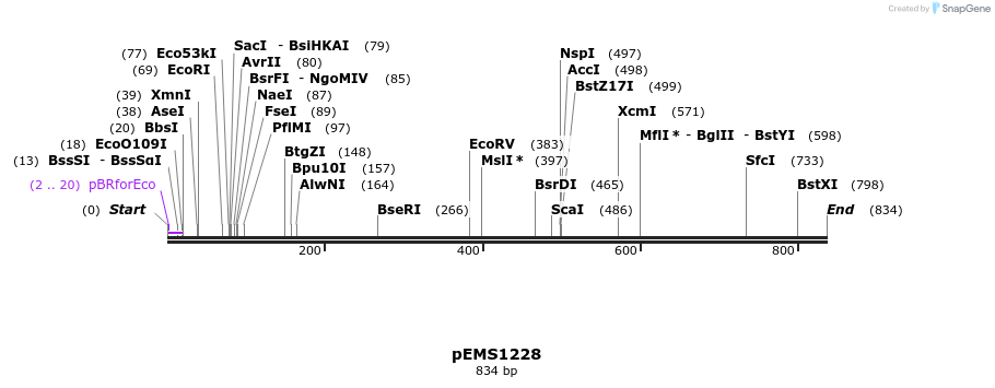 39281_map