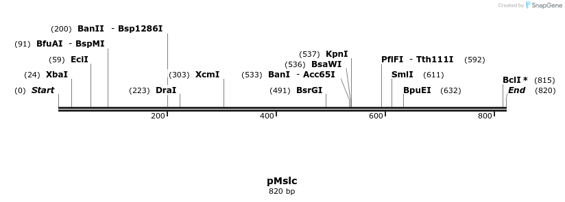 39282_map