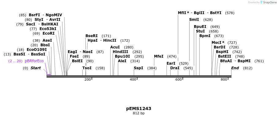 39286_map