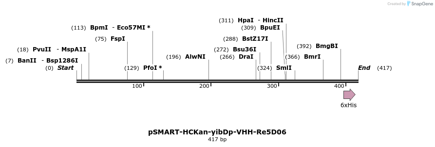 392860_map