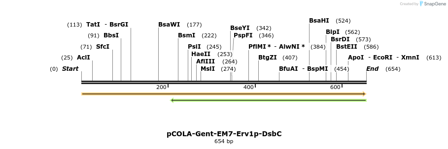 392871_map