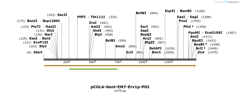392874_map