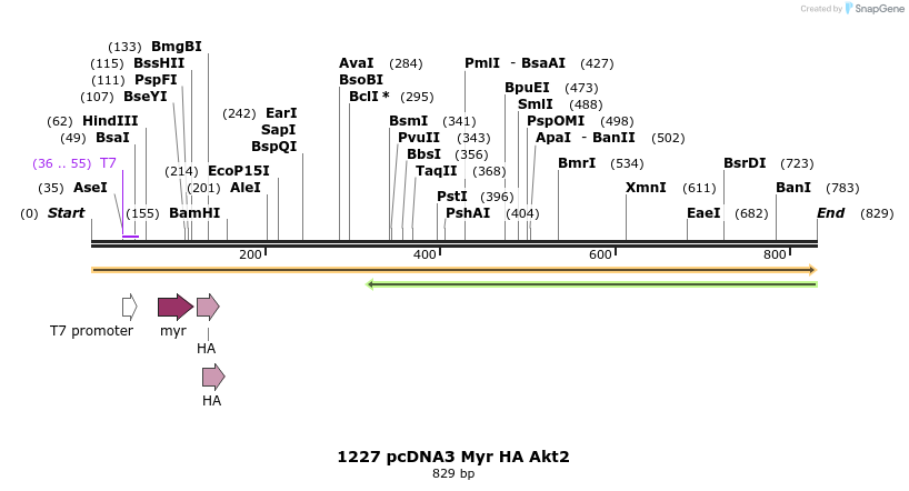 39289_map