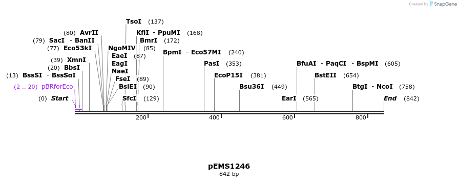 39290_map