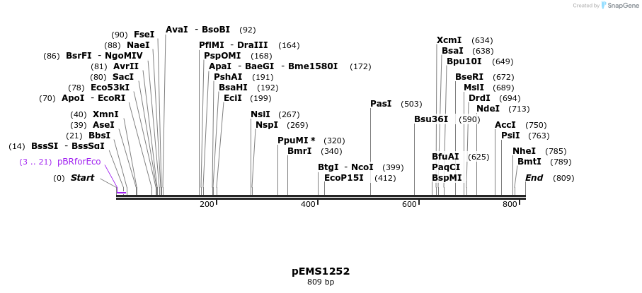 39291_map
