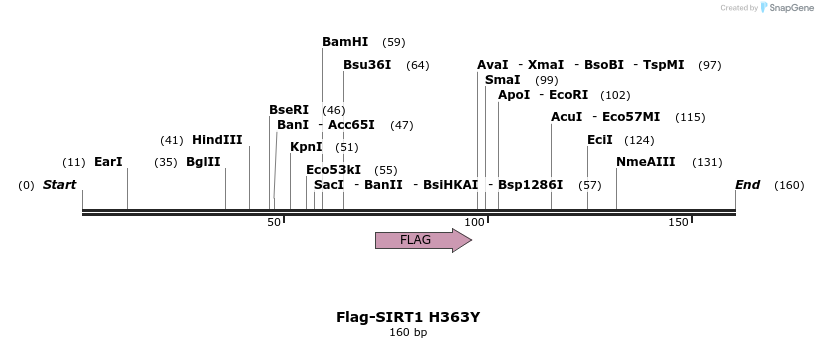 39292_map