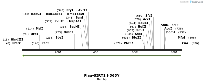 39294_map