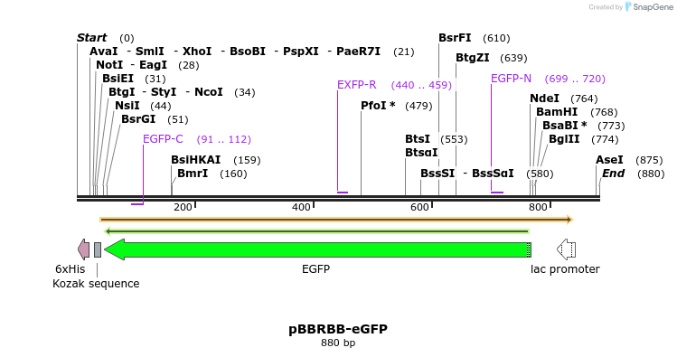 39298_map