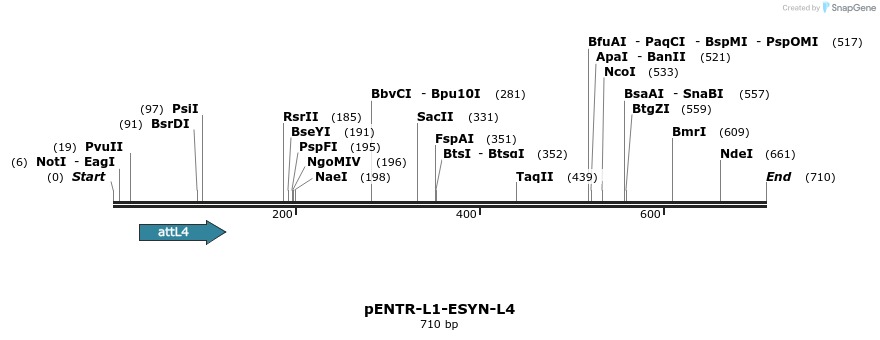 39301_map