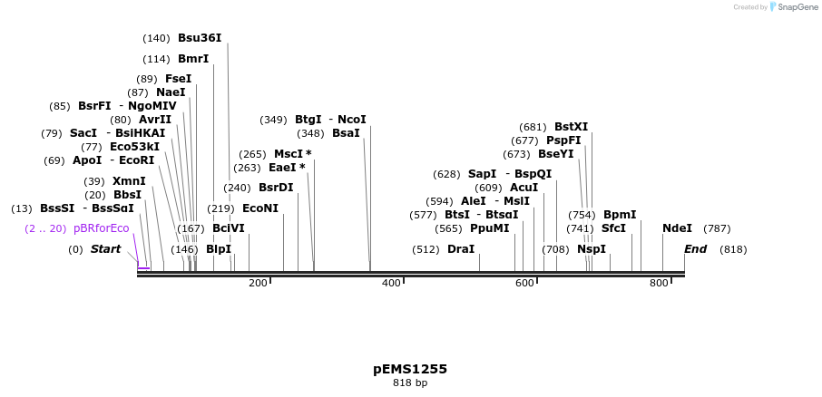 39302_map