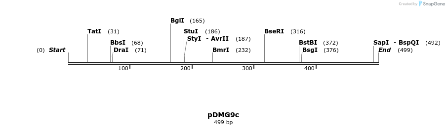 39303_map