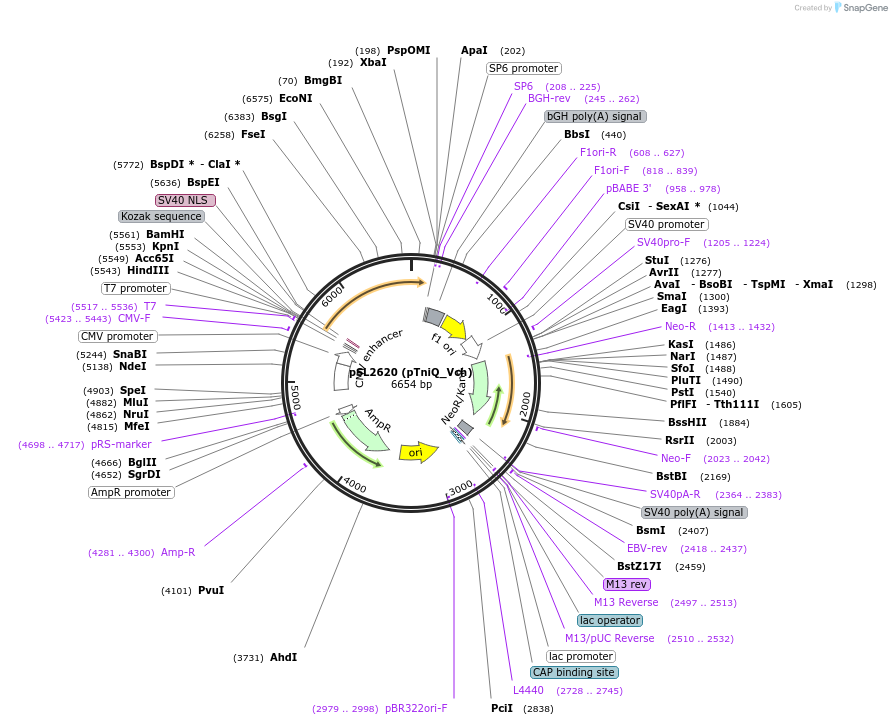 393031_map