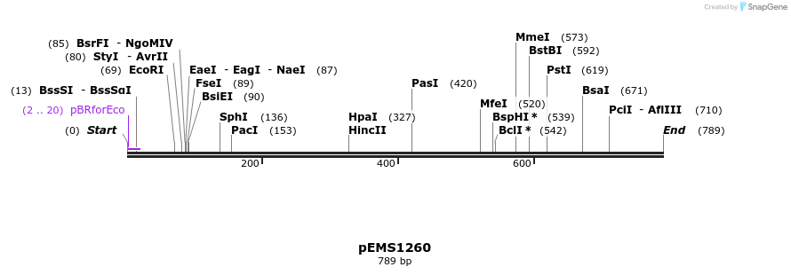 39304_map