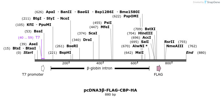 39306_map