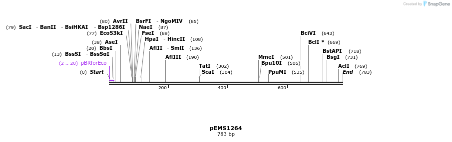39307_map
