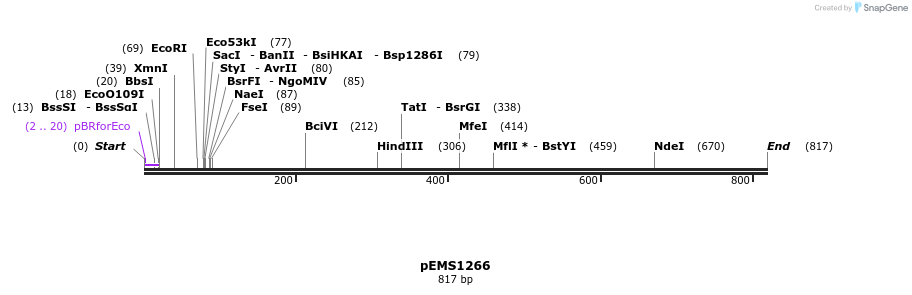39311_map