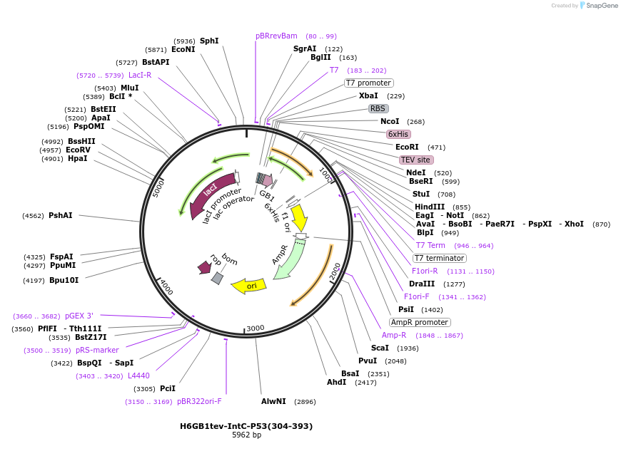 393114_map