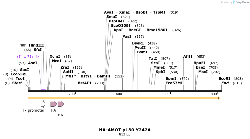39315_map