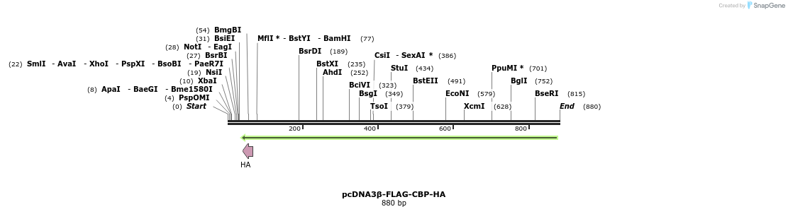 39316_map