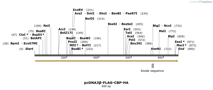 39317_map