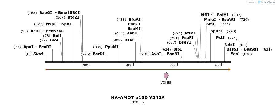 39318_map