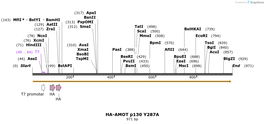 39319_map