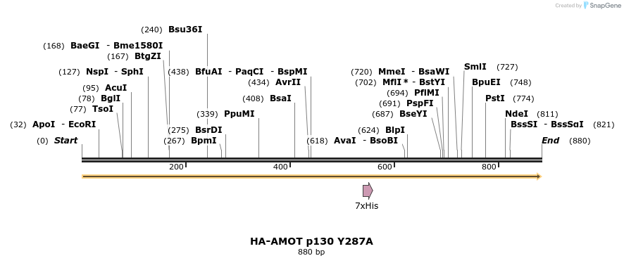 39321_map
