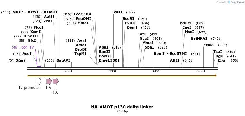 39322_map