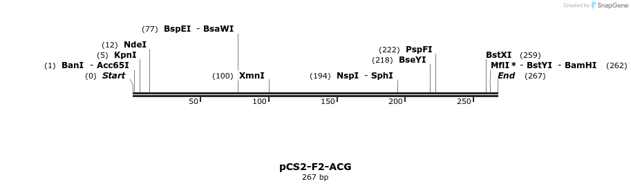 39325_map