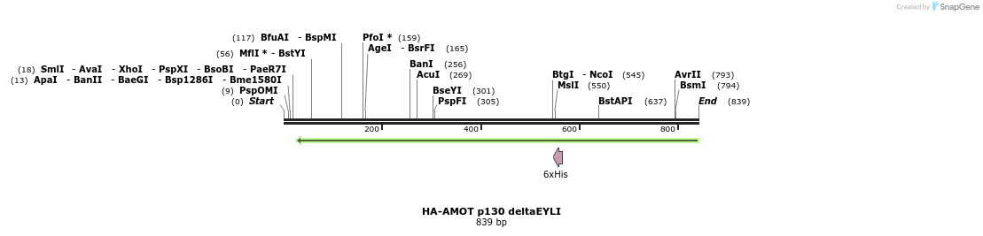 39332_map