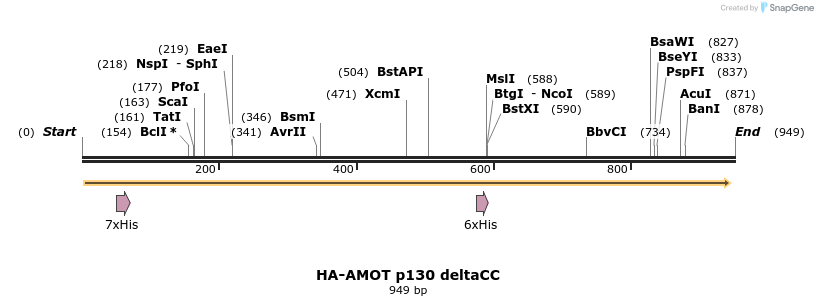 39335_map