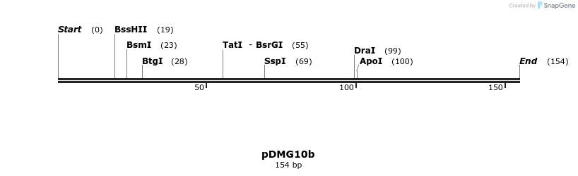 39336_map